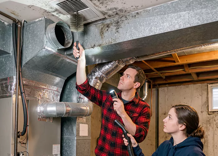 Premier HVAC Mold Remediation Company in Clifton